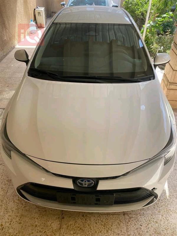 Toyota for sale in Iraq